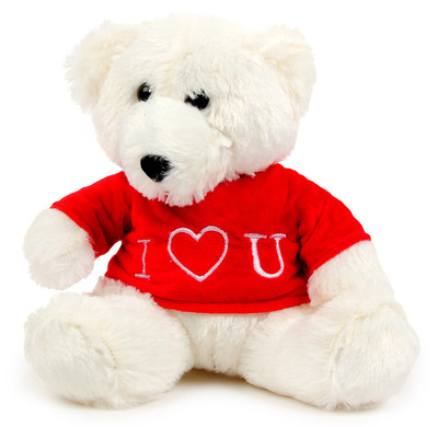 

Floweraura Teddy In Tee - 12 inch(Green)