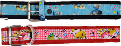 

Crux & Hunter Boys & Girls Multicolor Canvas Belt