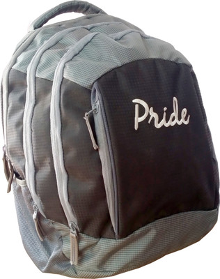 

Pride Star Safire 25 L Laptop Backpack(Multicolor)