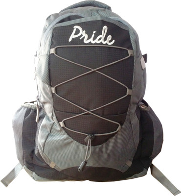 

Pride Star Wasim Dori 25 L Laptop Backpack(Multicolor)