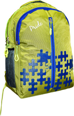 

Pride Star Brick 25 L Laptop Backpack(Green), Royal green