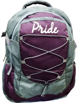 

Pride Star Wasim Dori 25 L Laptop Backpack(Purple)
