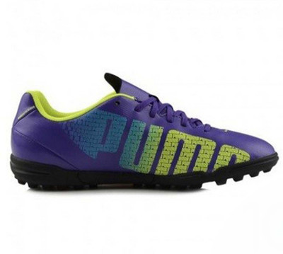 

Puma evoSPEED 5.3 TT Football Shoes For Men(Blue