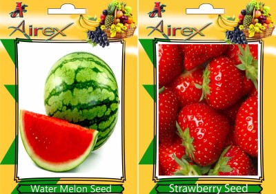 Airex Water Melon, Strawberry Seed(15 per packet)