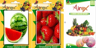 Airex Water Melon, Strawberry Seed(20 per packet)