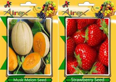 

Airex Musk Melon, Strawberry Seed(25 per packet)