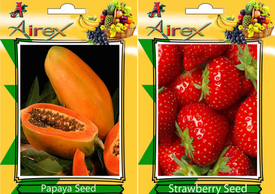 

Airex Papaya, Strawberry Seed(20 per packet)