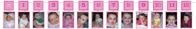 

Wanna Party Girl Photo Garland Banner Banner(12 ft, Pack of 1)