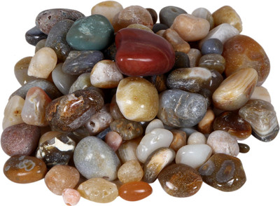 

Jainsons Pet Products Marble Planted Substrate(Multicolor)
