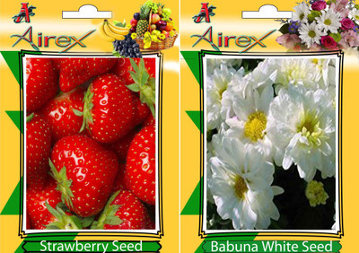 

Airex Strawberry, Babuna White Seed(25 per packet)