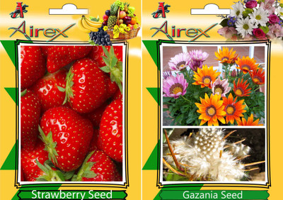 

Airex Strawberry, Gazania Seed(20 per packet)