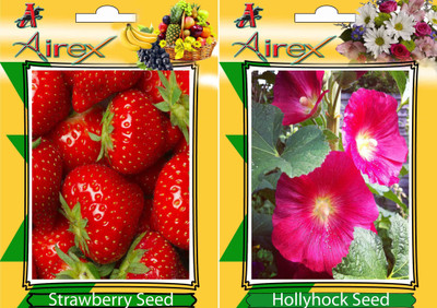 

Airex Strawberry, Hollyhock Seed(20 per packet)