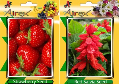 Airex Strawberry, Red Salvia Seed(15 per packet)