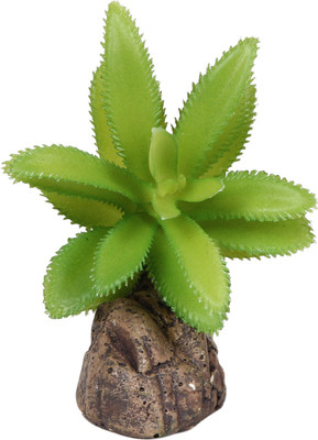 

Jainsons Pet Products Flourite Planted Substrate(Green)
