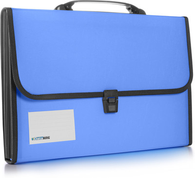 

Dataking Polypropylene Expanding File(Set Of 1, Blue)