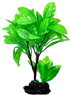 

Jainsons Pet Products SC-673A Aquarium Plant Anchor({Plant Anchors1)