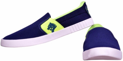 

The Scarpa Canvas Casuals For Men(Blue, Green