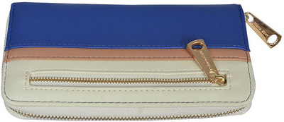 

Diana Korr Casual Blue Clutch