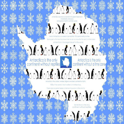

EVINCE GIFT WRAPPING PAPER antarctica PAPER Gift Wrapper(blue and white)
