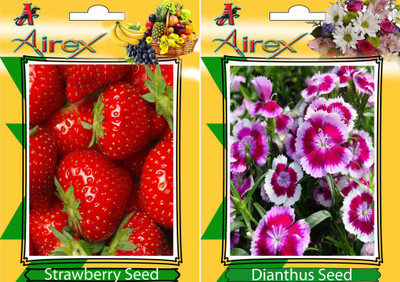 

Airex Strawberry, Dianthus Seed(15 per packet)