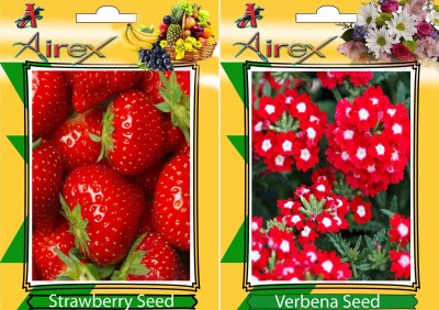 Airex Strawberry, Verbena Seed(20 per packet)