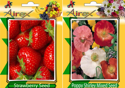 

Airex Strawberry, Poppy Shirley Mixed Seed(20 per packet)