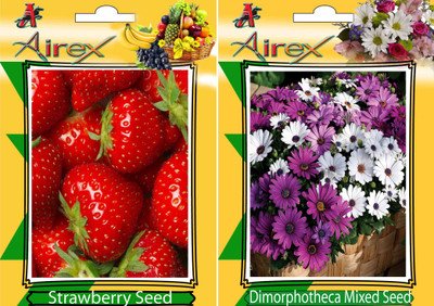 

Airex Strawberry, Dimorphotheca Mixed Seed(25 per packet)