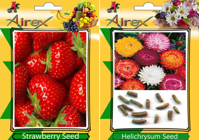 

Airex Strawberry, Helichrysum Seed(25 per packet)