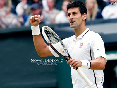 

Novak Djokovic Fine Quality Sports Wall Poster Fine Art Print(12 inch X 18 inch, Rolled)