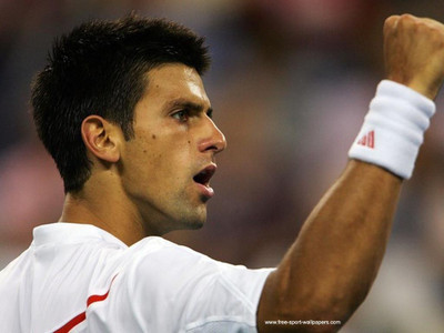 

Novak Djokovic Fine Quality Sports Wall Poster Fine Art Print(12 inch X 18 inch, Rolled)