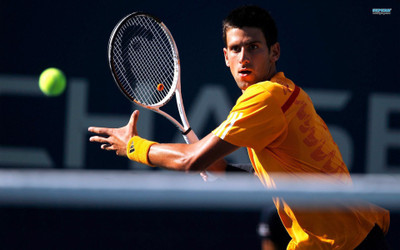 

Novak Djokovic Fine Quality Sports Wall Poster Fine Art Print(12 inch X 18 inch, Rolled)