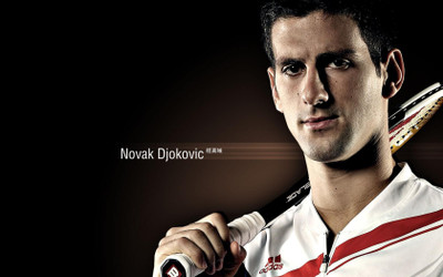 

Novak Djokovic Fine Quality Sports Wall Poster Fine Art Print(12 inch X 18 inch, Rolled)