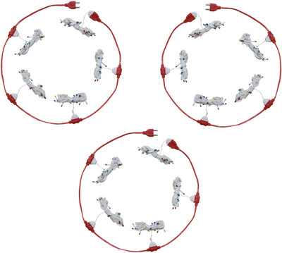 

Home Delight 157 inch Multicolor Rice Lights(Pack of 15)