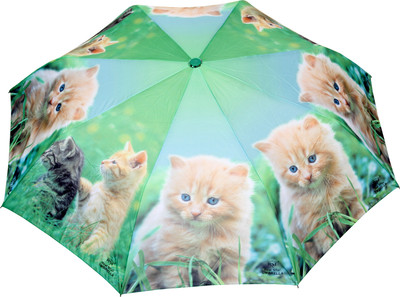 

FabSeasons Fancy Printed Umbrella for Rains and All Seasons Umbrella(Green)