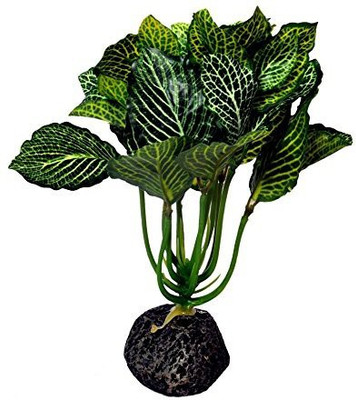 

Jainsons Pet Products SC-626A Aquarium Plant Anchor({Plant Anchors1)