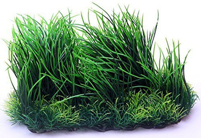 

Jainsons Pet Products L653 Aquarium Plant Anchor({Plant Anchors1)