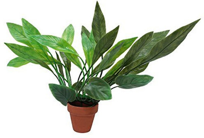 

Jainsons Pet Products GAMLA Aquarium Plant Anchor({Plant Anchors1)