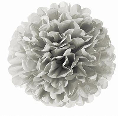 

Sunbeauty 10"/25Cm 5Pcs Grey Color Tissue Paper Pom Poms Flower Balls Hanging Decoration Party Birthday Wedding