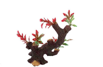 

Jainsons Pet Products 1269 Aquarium Plant Anchor({Plant Anchors1)