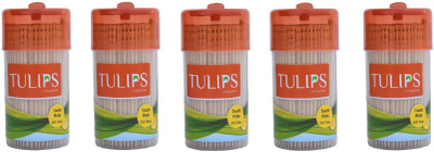 

Tulips Wooden Toothpicks 250 Sticks (Pack of 5)(6.5 cm, Pack of 1250)