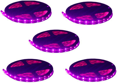 

IMPROVHOME 196 inch Pink Rice Lights(Pack of 5)