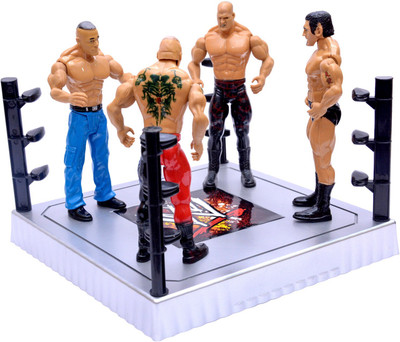 

Tingoking Flex Force Fighting Hero WWE(Multicolor)
