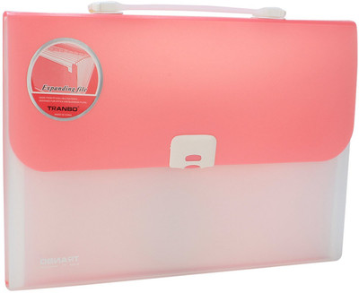 

TRANBO Polypropylene File Folder with 13 Pockets, Handle, Index Tab, FC Size, Pink(Set Of 1, Pink)