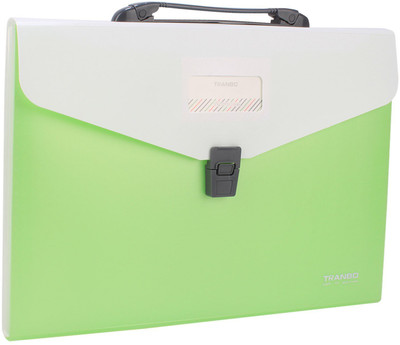 

TRANBO Plastic File Folder with 13 Pockets, Handle, Index Tab, FC Size, Green(Set Of 1, Green)