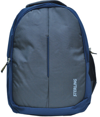 

Sterling 15.6 inch Laptop Backpack(Grey)