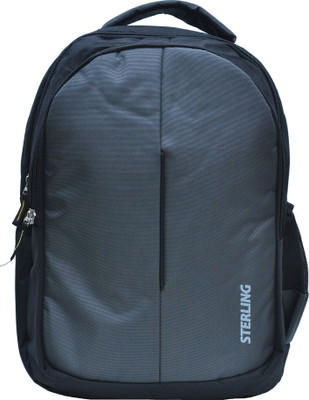 

Sterling 15.6 inch Laptop Backpack(Grey)