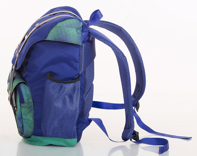 

Bags R Us FB102FRB 21 L Backpack(Blue)