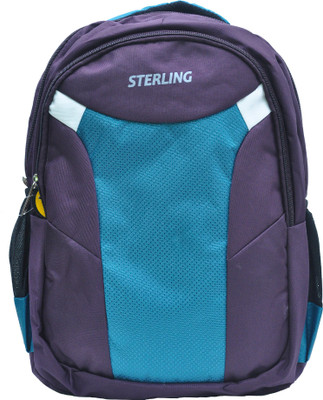 

Sterling 17 inch Laptop Backpack(Blue, Brown)