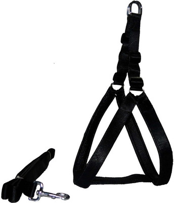 

Pawsitively Dog Buckle Harness(, Black