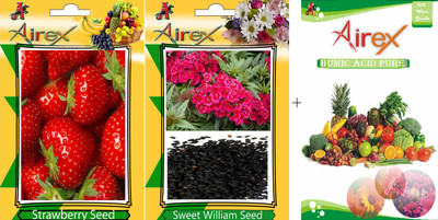 

Airex Strawberry, Sweet William Seed(20 per packet)